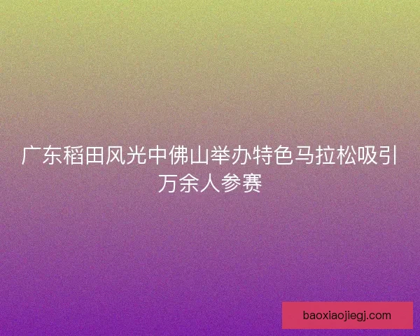 广东稻田风光中佛山举办特色马拉松吸引万余人参赛